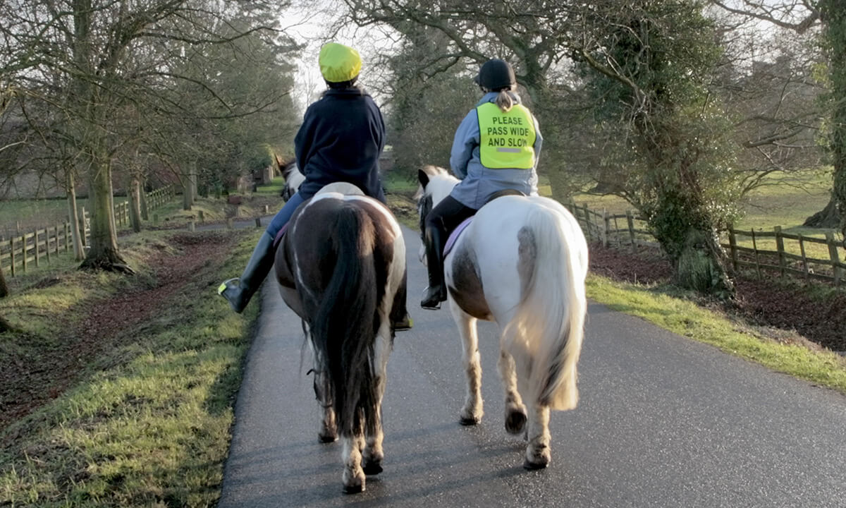 Horse riding road safety