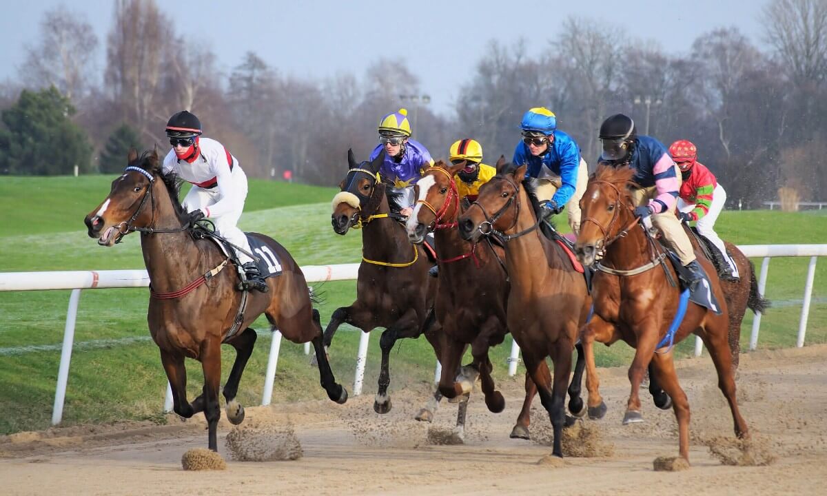 horse racing