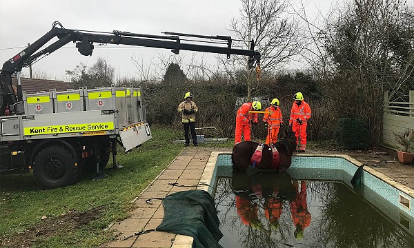Horse rescued from Kent swimming pool